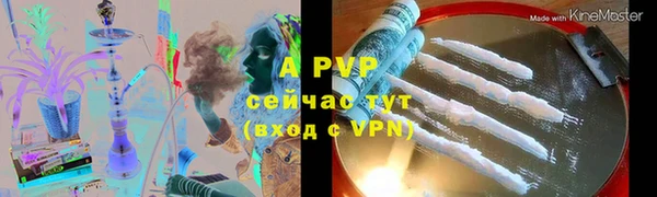 прущие грибы Новокубанск
