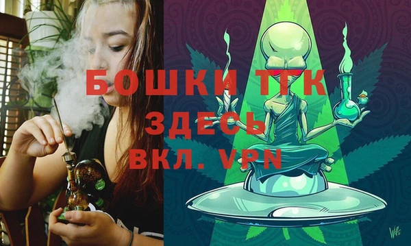 прущие грибы Новокубанск