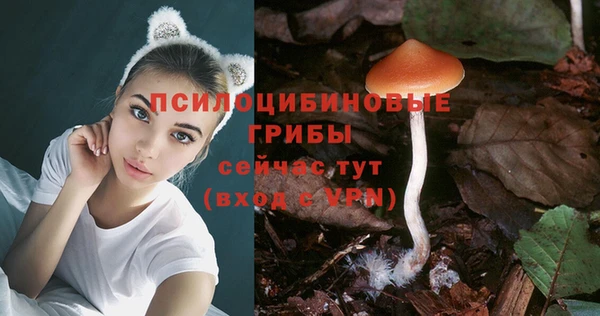 MDMA Новодвинск