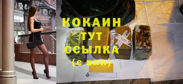 Альфа ПВП Няндома