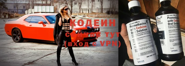 Альфа ПВП Няндома
