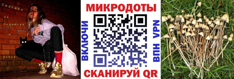 Галлюциногенные грибы мухоморы  Иннополис 